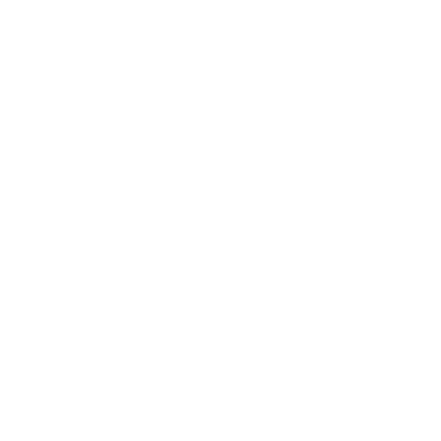 LitFin501c Foundation